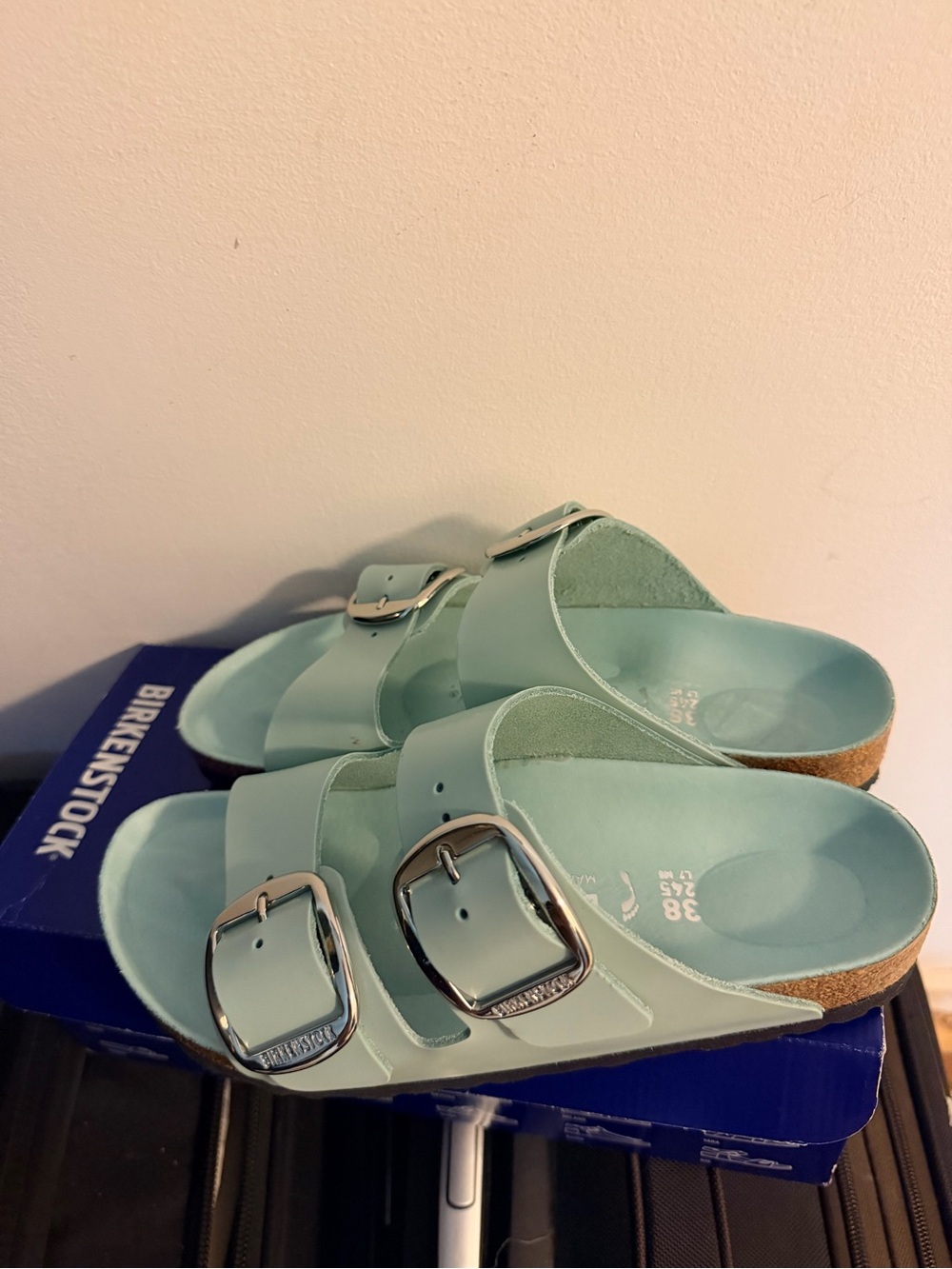 Birkenstock Arizona Sandals in Mint